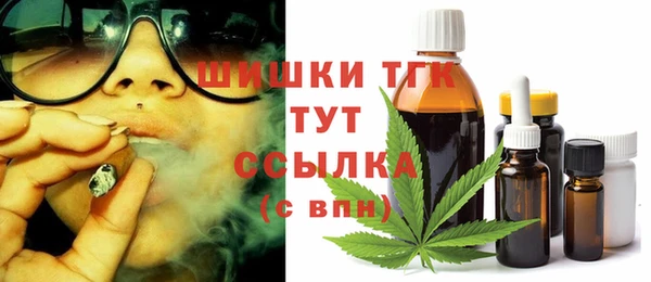 СК Алзамай