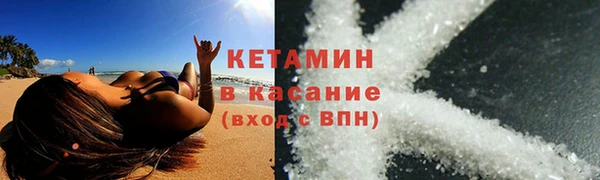 гидра Абаза