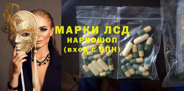 гидра Абаза